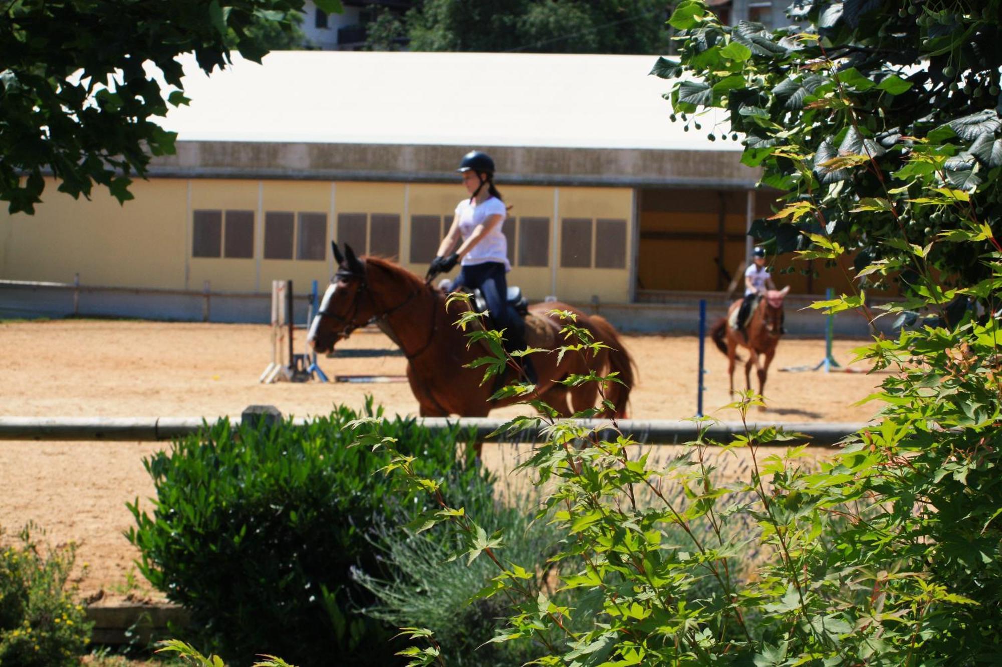 Farm Stay Zevnik Brežice المظهر الخارجي الصورة
